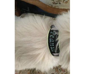 Stickserie - Mini Motive für Gurtbänder o.Ä.